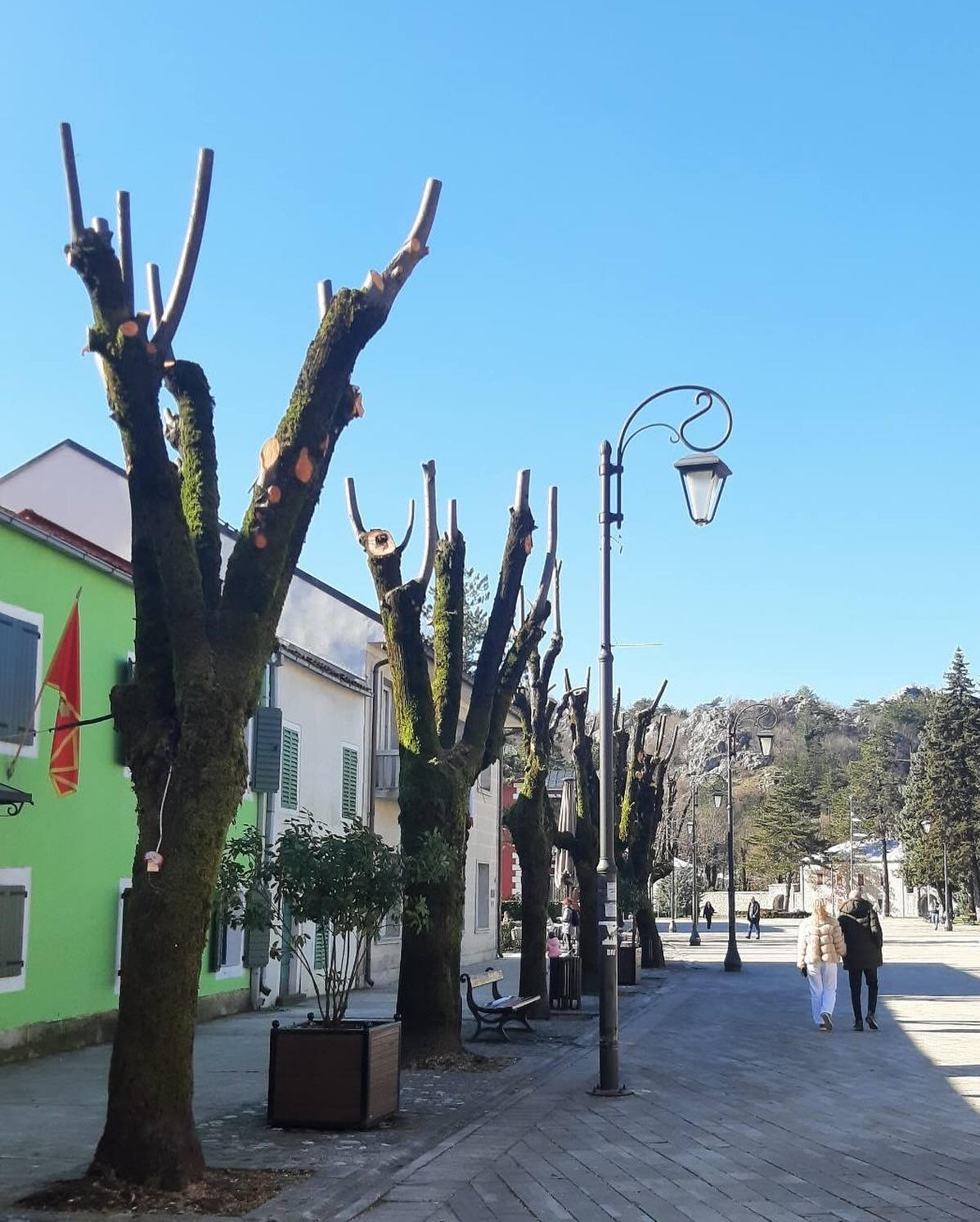 Služba za održavanje javnih zelenih površina